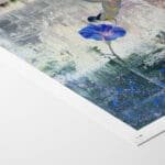 Diving into Beauty - Imagen 2