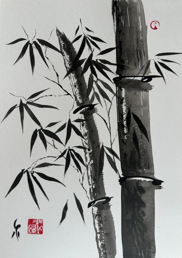 Wise Longevity